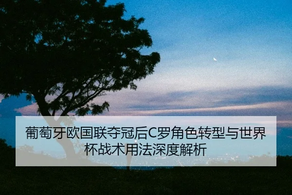 pu-tao-ya-ou-guo-lian-duo-guan-hou-luo-jue-se-zhuan-xing-yu-shi-jie-bei-zhan-shu-yong-fa-shen-du-jie-xi-2-299.jpg